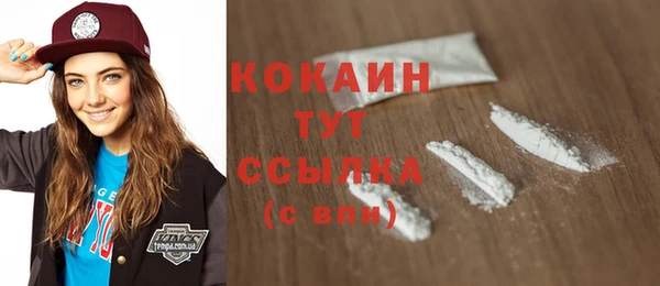 гидропоника Гусиноозёрск