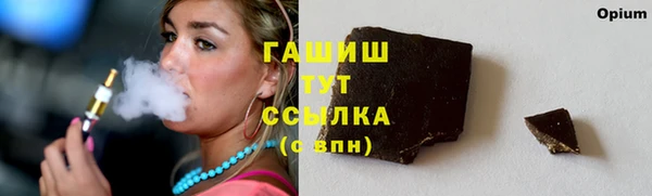 гидропоника Гусиноозёрск
