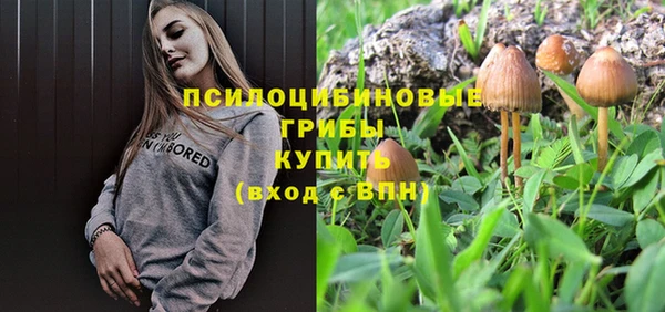 бутират Гусь-Хрустальный
