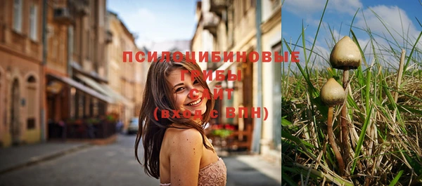 гидропоника Гусиноозёрск