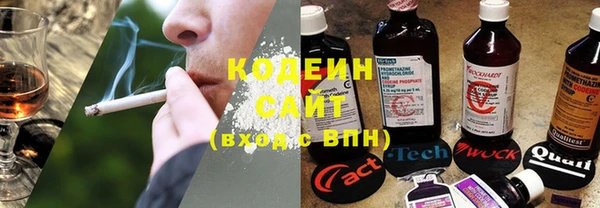 гидропоника Гусиноозёрск