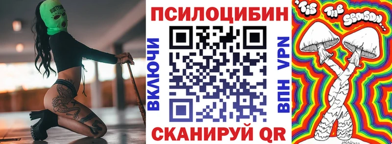 Купить закладки  Чердынь  Галлюциногенные грибы Psilocybine cubensis 