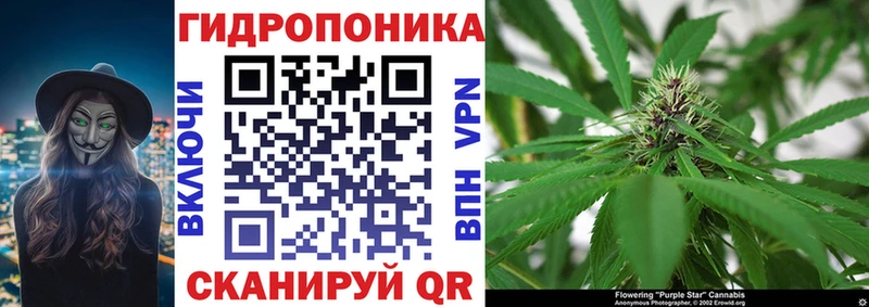 Купить где  Чердынь  Бошки Шишки гибрид 